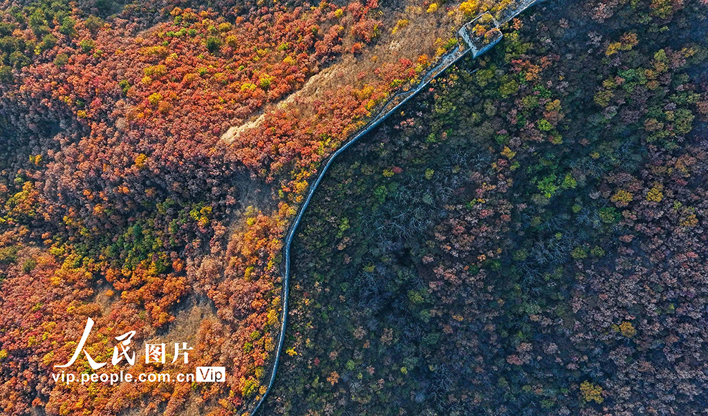 �ӱ��ػʍu�������L�����箋